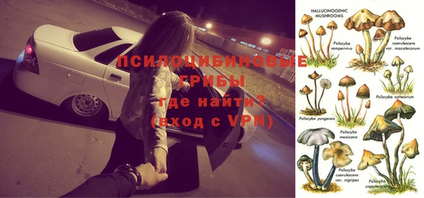 твердый Алексин